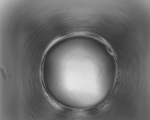 X0000080130811200612151737