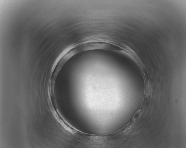 X0000080130812200612151737