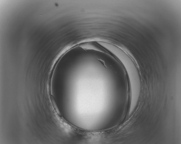 X0000080130813200612151737