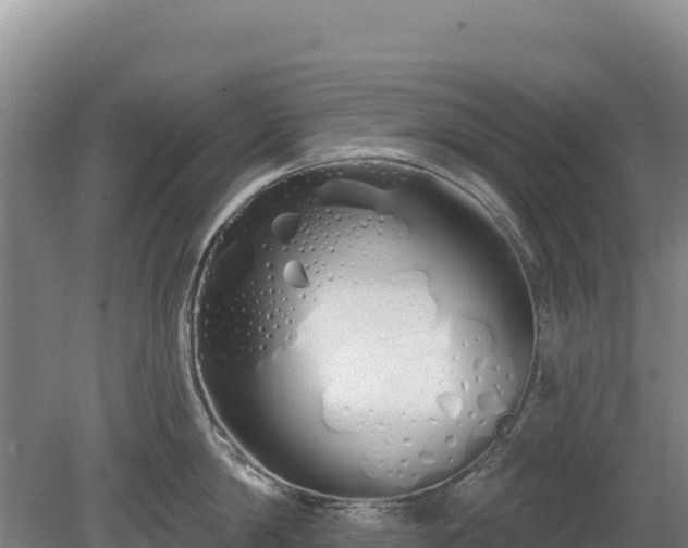 X0000080130814200612151737