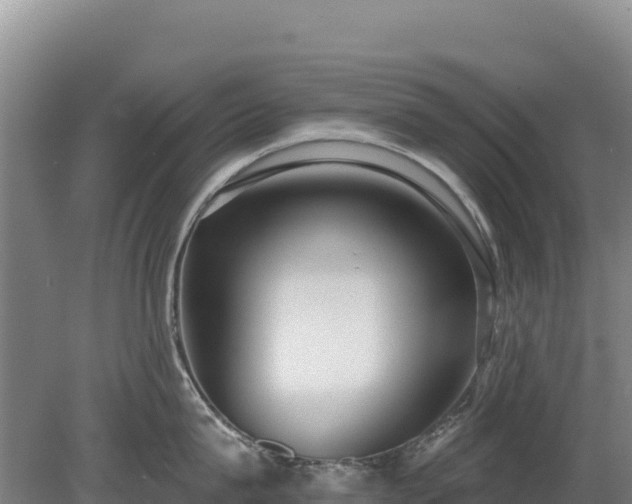 X0000080130815200612151737