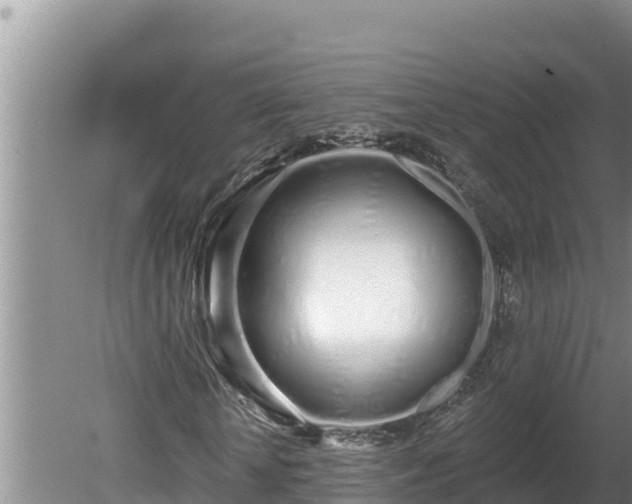 X0000080130818200612151736