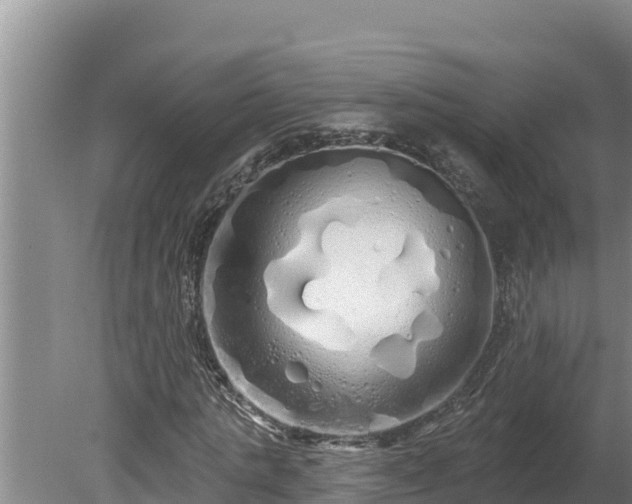 X0000080130821200612151736