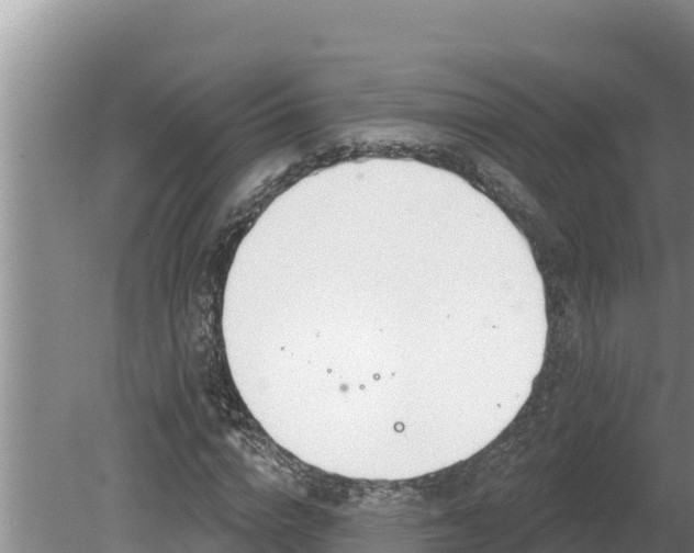 X0000080130824200612151736