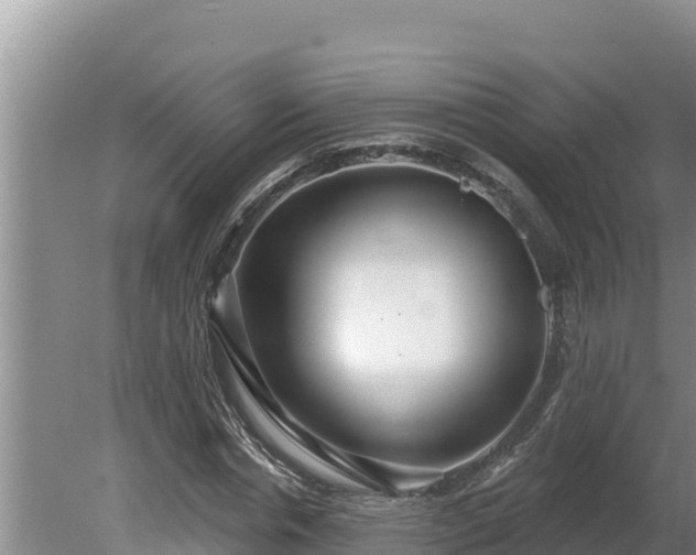 X0000080130826200612151736