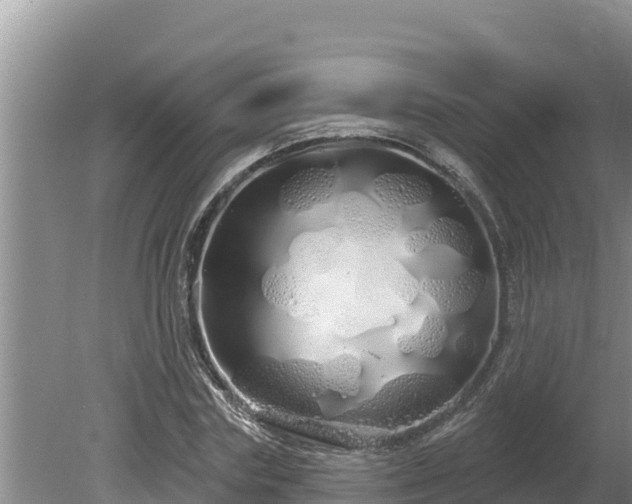 X0000080130827200612151736