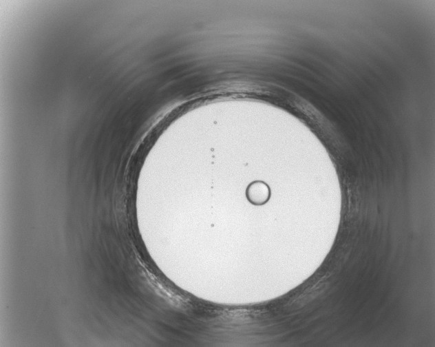 X0000080130828200612151736