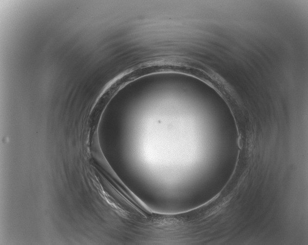 X0000080130830200612151736