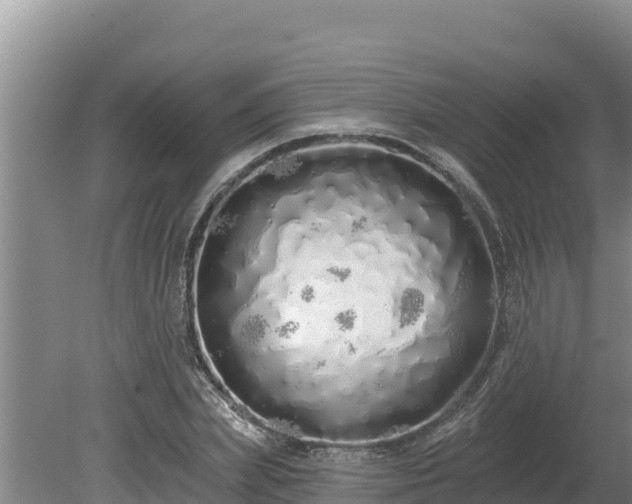 X0000080130831200612151736