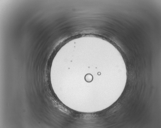 X0000080130832200612151736