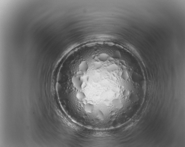 X0000080130835200612151736