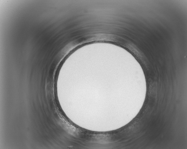 X0000080130836200612151736