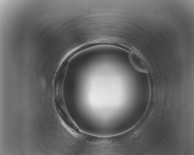 X0000080130838200612151736