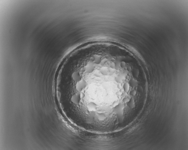 X0000080130839200612151736