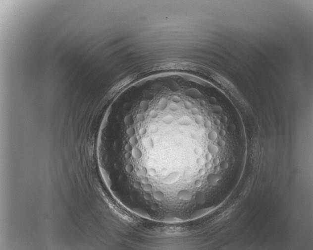 X0000080130841200612151736