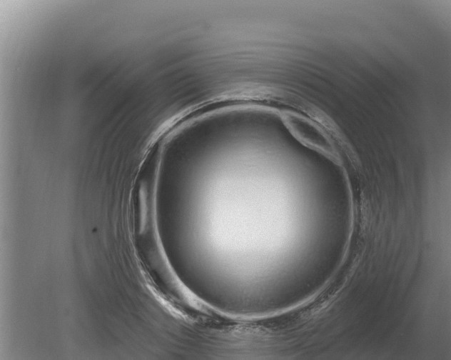 X0000080130842200612151736