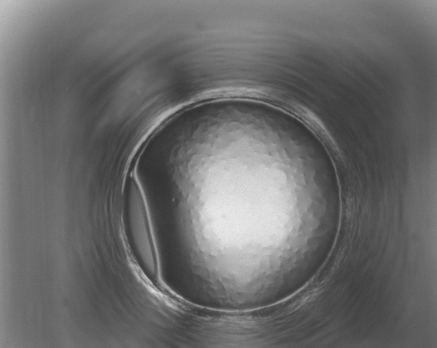 X0000080130844200612151736