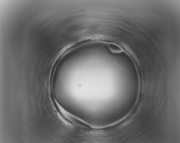 X0000080130845200612151736