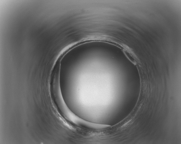 X0000080130846200612151736