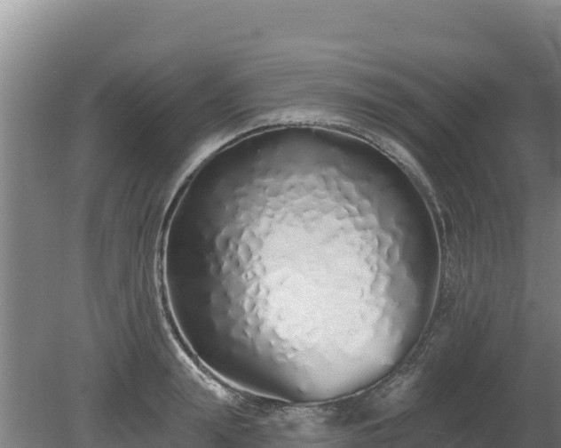 X0000080130847200612151736