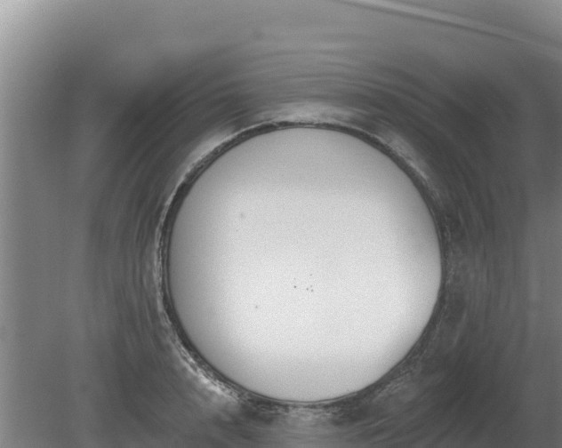 X0000080130848200612151736