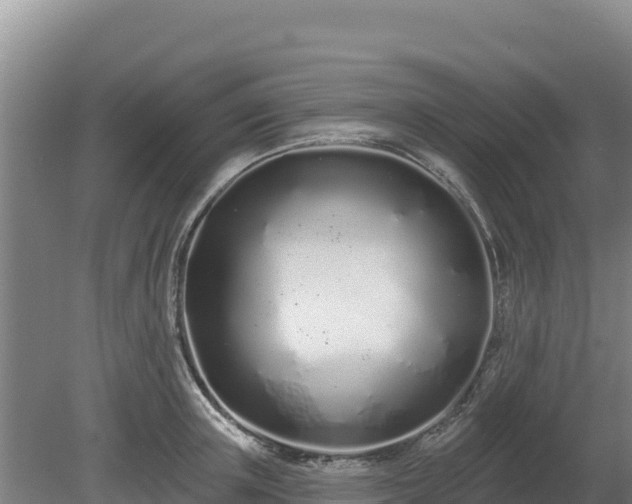 X0000080130851200612151736