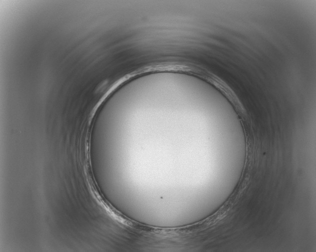 X0000080130852200612151736