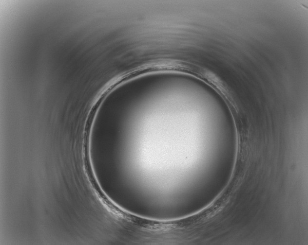 X0000080130853200612151736