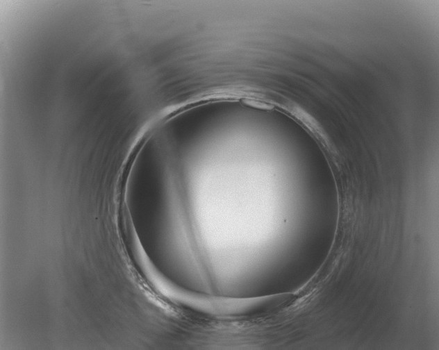 X0000080130854200612151736