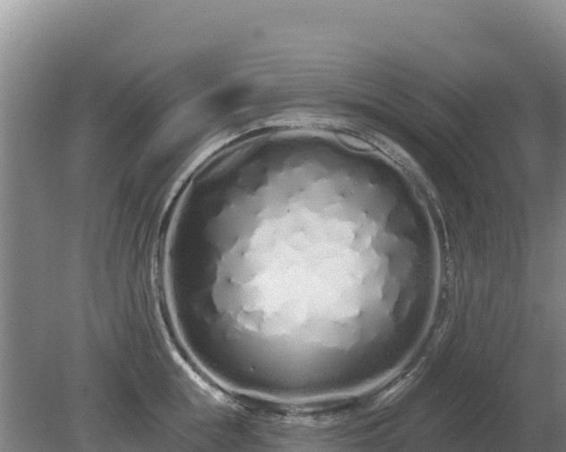 X0000080130855200612151737