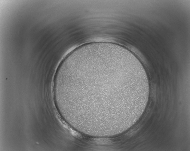 X0000080130856200612151737