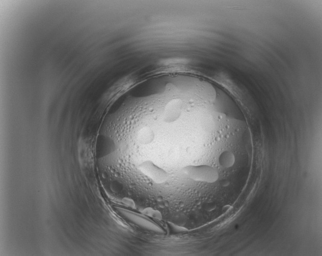 X0000080130857200612151737