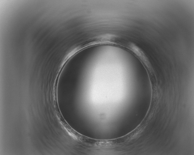 X0000080130858200612151737