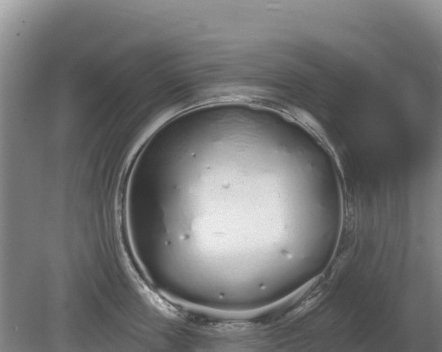 X0000080130859200612151737