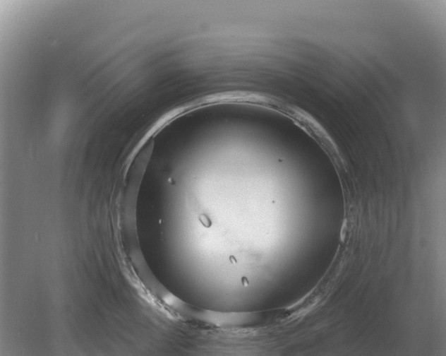 X0000080130860200612151737