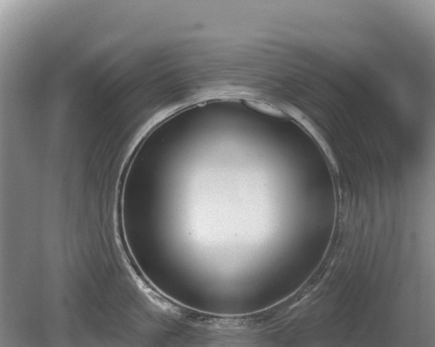 X0000080130861200612151737