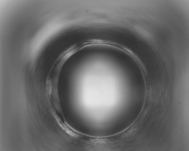 X0000080130862200612151737