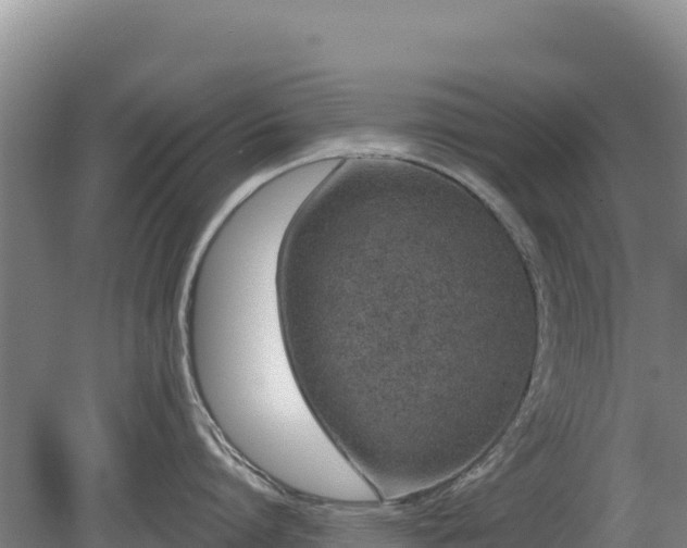 X0000080130864200612151737