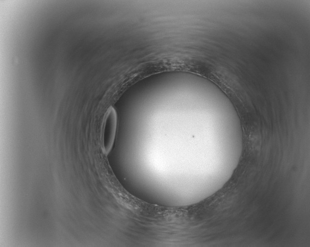 X0000080130865200612151736