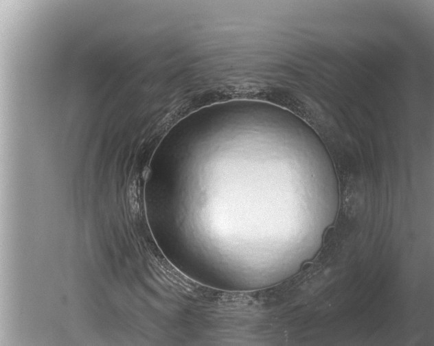 X0000080130866200612151736