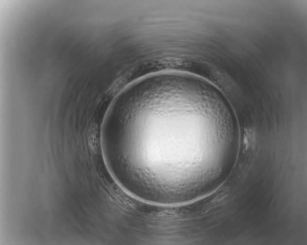 X0000080130867200612151736