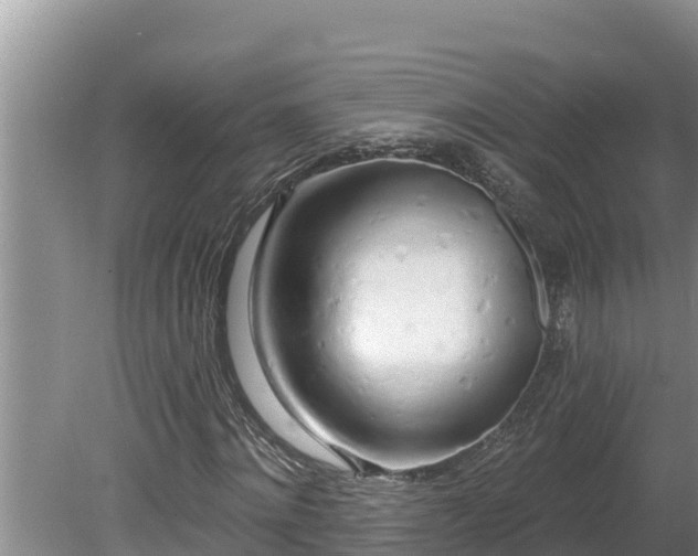 X0000080130868200612151736