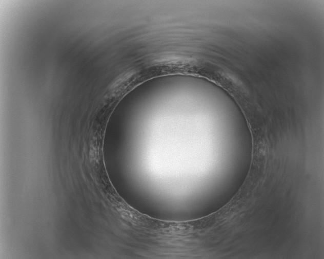 X0000080130869200612151736