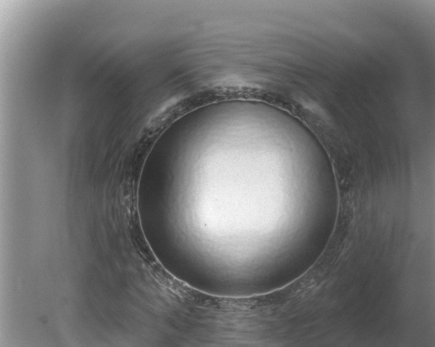 X0000080130870200612151736