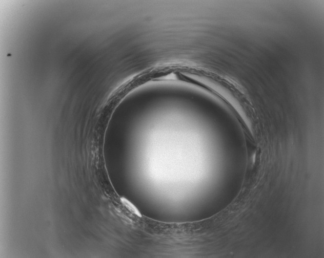 X0000080130872200612151736