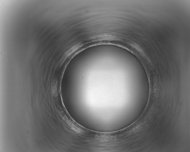 X0000080130873200612151736