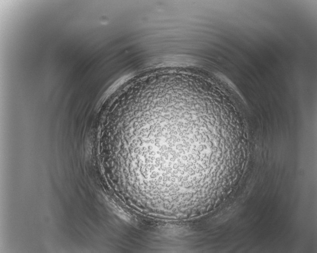 X0000080130874200612151736