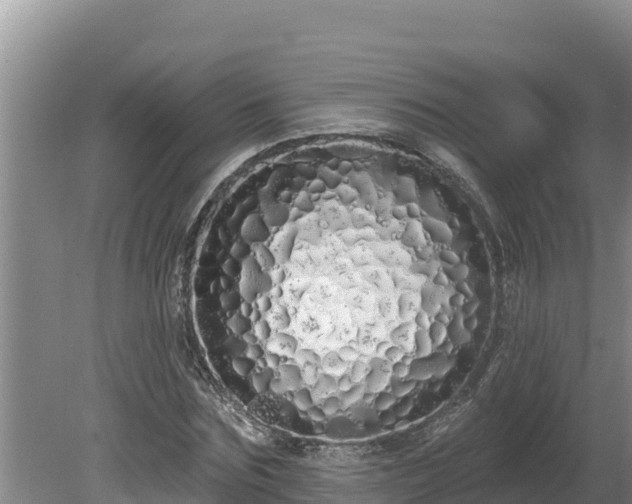 X0000080130875200612151736