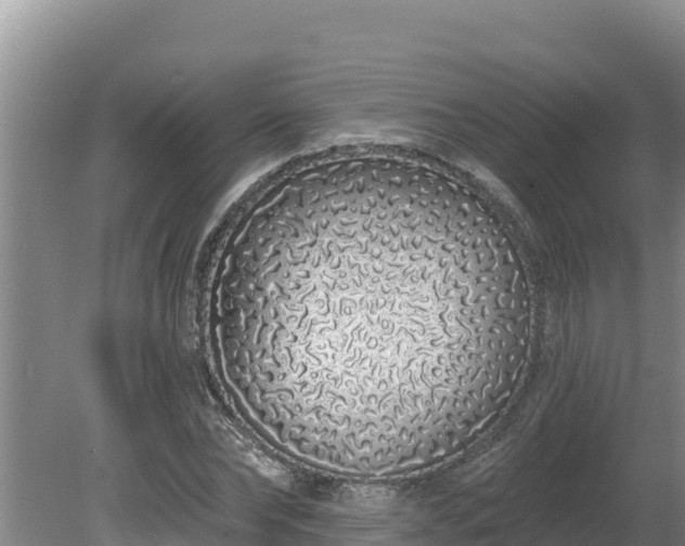 X0000080130878200612151736