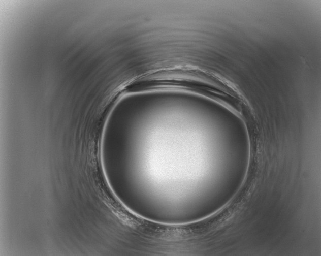 X0000080130881200612151736